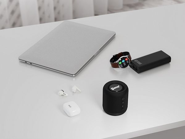 Портативная колонка CaseGuru CGBox Mini