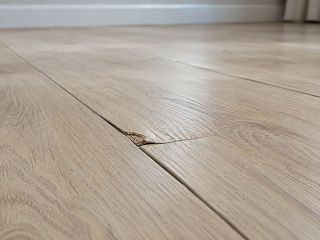 Стык досок ламината крупным планом: скол на углу доски и слегка приподнятые разбухшие кромки