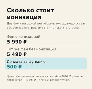 Инфографика: доплата за ионизацию в фене — 500 ₽ на двух моделях одной платформы