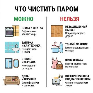 Инфографика: что можно и нельзя чистить паром