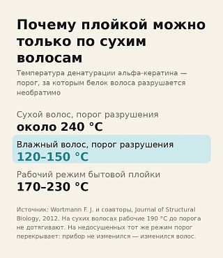 Инфографика: порог разрушения кератина 240 °C у сухого волоса против 120–150 °C у влажного