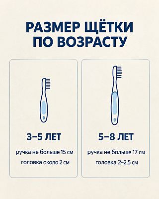 Инфографика: ручка детской щётки до 15 см и головка около 2 см для 3–5 лет, до 17 см и 2–2,5 см для 5–8