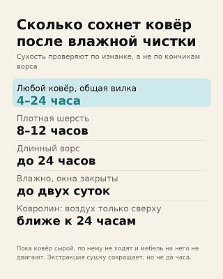 Сколько сохнет ковёр после влажной чистки: общая вилка 4–24 часа, плотная шерсть 8–12 часов