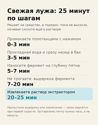 Протокол по минутам для свежей лужи: промокание, прохладная вода, фермент, выдержка и извлечение раствора
