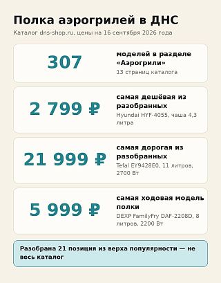 Инфографика: в каталоге ДНС 307 аэрогрилей, цены от 2 799 до 21 999 ₽, ходовая модель стоит 5 999 ₽