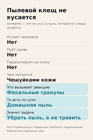 Схема: пылевой клещ не кусается, аллергию вызывают его фекальные гранулы, то есть пыль