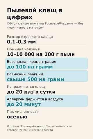 Инфографика: цифры Роспотребнадзора о пылевом клеще — 100 и 500 особей на грамм пыли